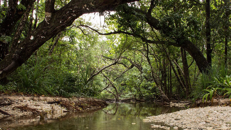 Ujung Kulon